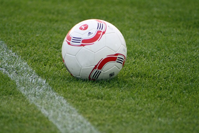 他能够在这 他能够在这