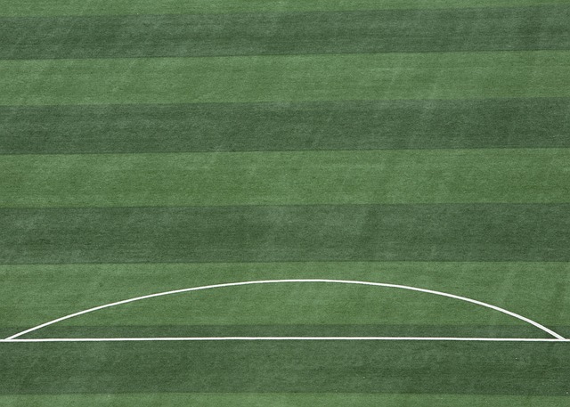 外援更换的 外援更换的