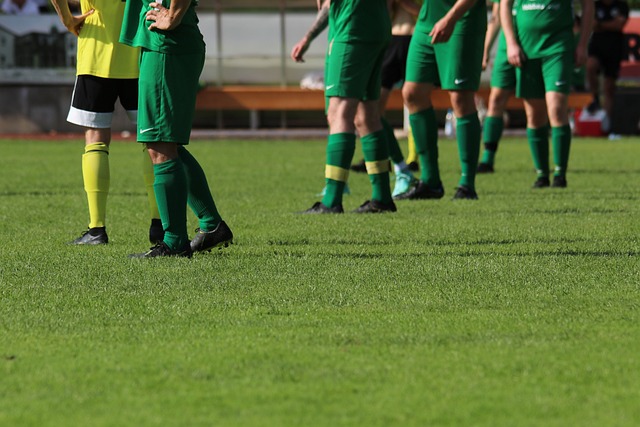 广东迅速进 广东迅速进