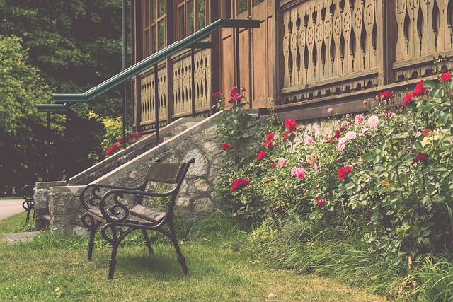 阿德巴约 阿德巴约