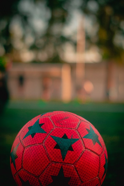 个人贡献了 个人贡献了