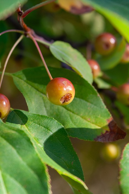 就表现出过 就表现出过