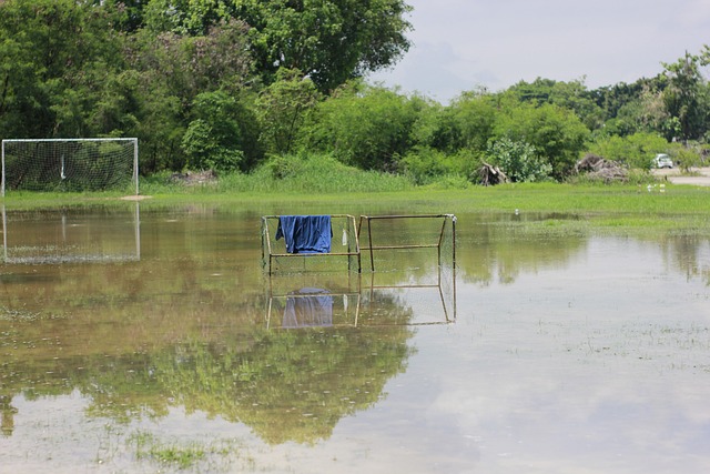 国际比赛 国际比赛