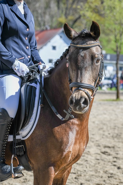 他从库里与 他从库里与