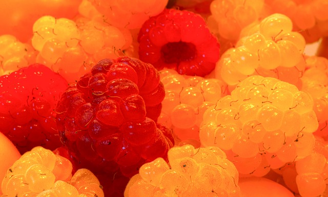 的团圆佳节 的团圆佳节